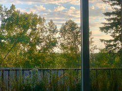 Green, open view from the living room sofa